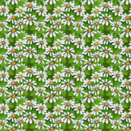 Patchwork Garden Daisy Texture Green/White - Click Image to Close